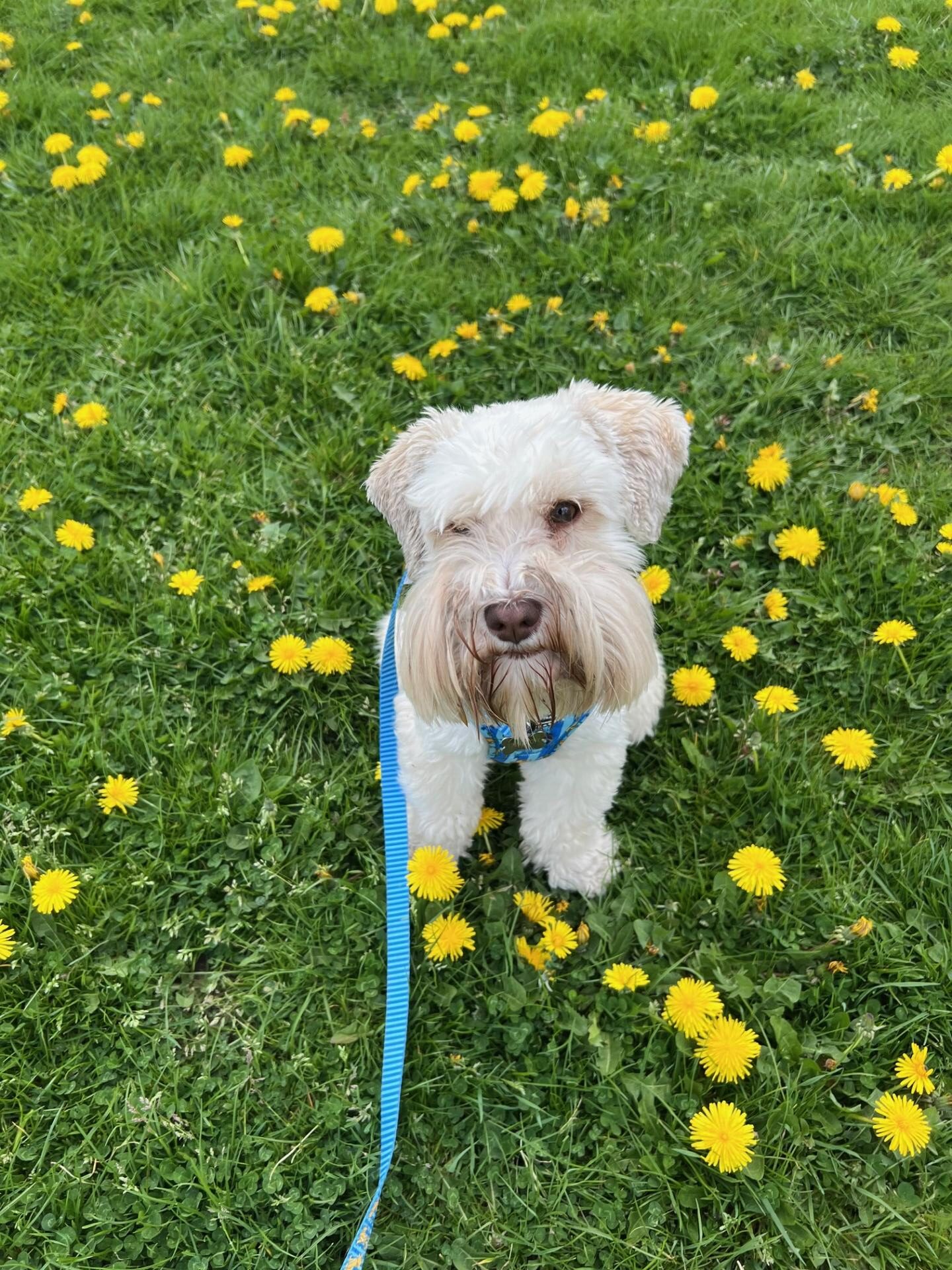 Charlie